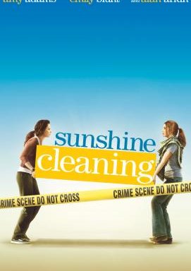 Sunshine Cleaning