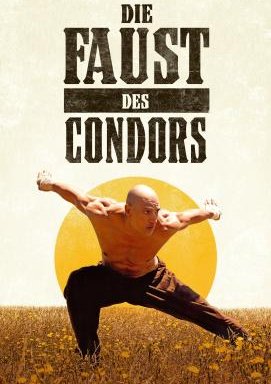 Die Faust des Condors