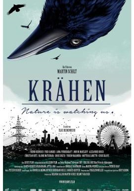 Krähen – Nature Is Watching Us